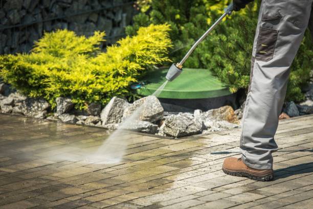 Best Dumpster Area Cleaning  in Sunny Isles Beach, FL